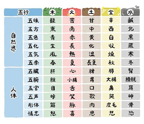 五行 体の部位|五行色体表（配当表）とその解説－五行象・奈良